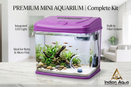 RS Electrical RS-300A Stylish Aquarium with LED Light & Filter (30 x 20 x 37 Cm)