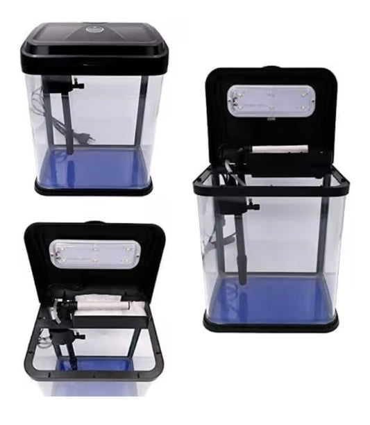 Rs electricals 230 el rectangle aquarium tank with light and filter 8 litre fish tank