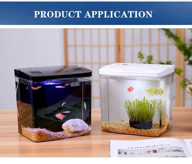 Bluepet BL-04 Back Filter Fish Tank with Built-in Filtration System