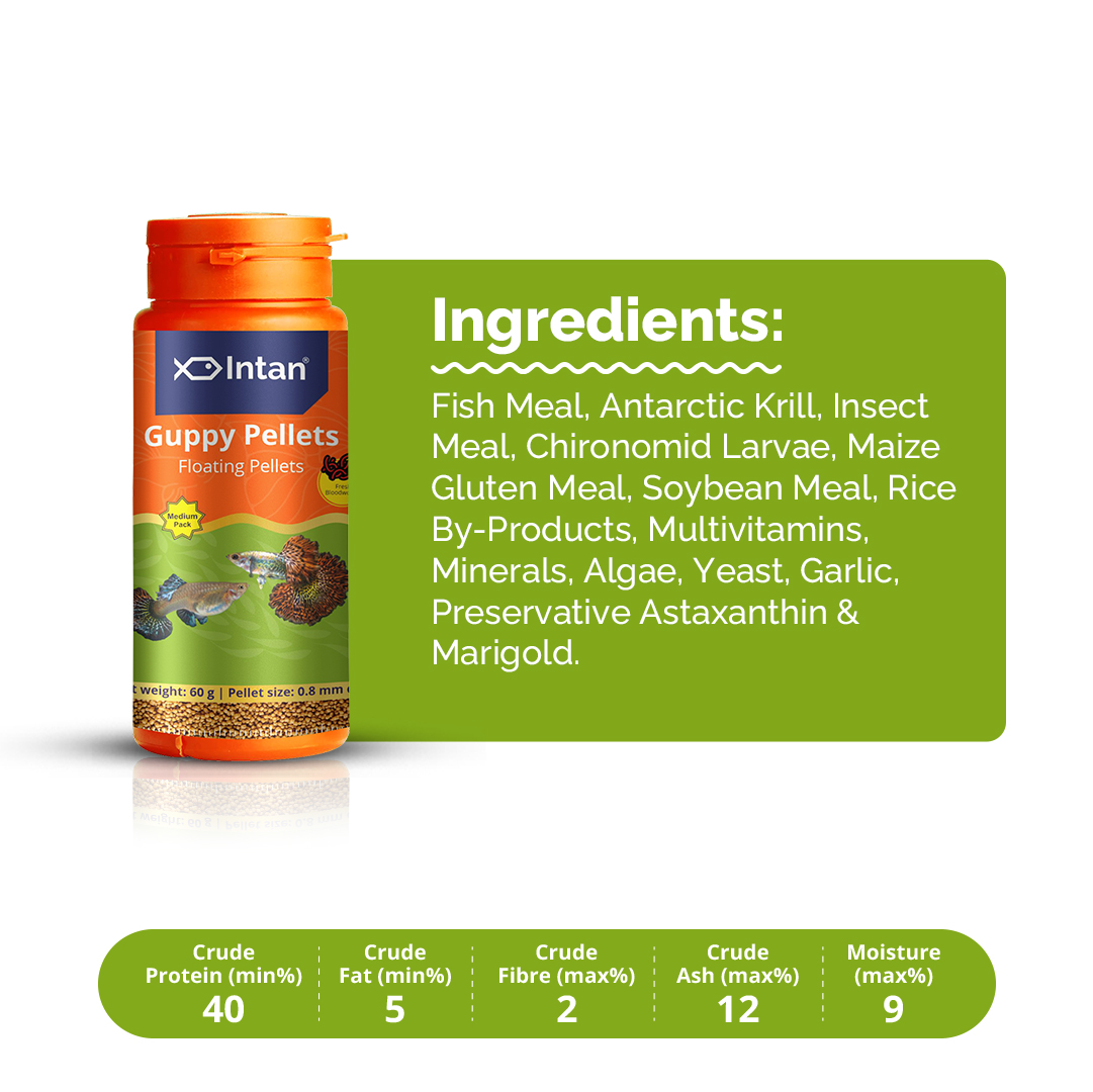 Intan Guppy Pellets packaging with ingredients list on a white background