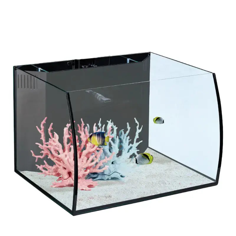 Curved Glass Desktop Aquarium – 31 Litres | Premium Modern Fish Tank for Home & Office