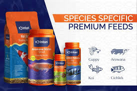 Intan Fish Food