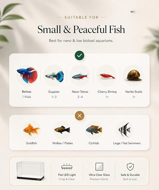 Compatibility chart for small and peaceful fish suitable for nano and low bioload aquariums.