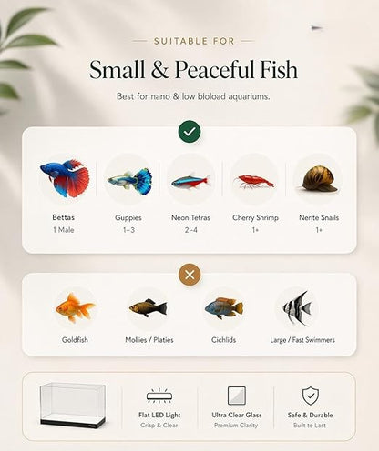 Compatibility chart for small and peaceful fish suitable for nano and low bioload aquariums.