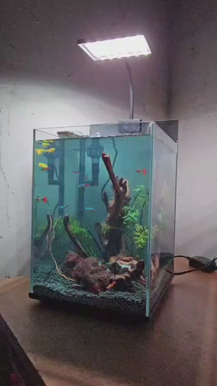 Bluepet nature cube c04 ultra clear glass aquarium
