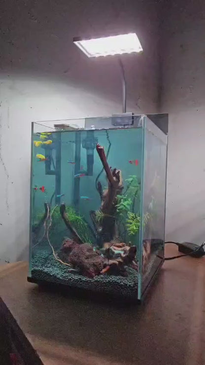 Bluepet nature cube c04 ultra clear glass aquarium