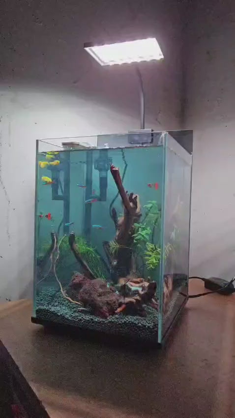 Bluepet nature cube c04 ultra clear glass aquarium