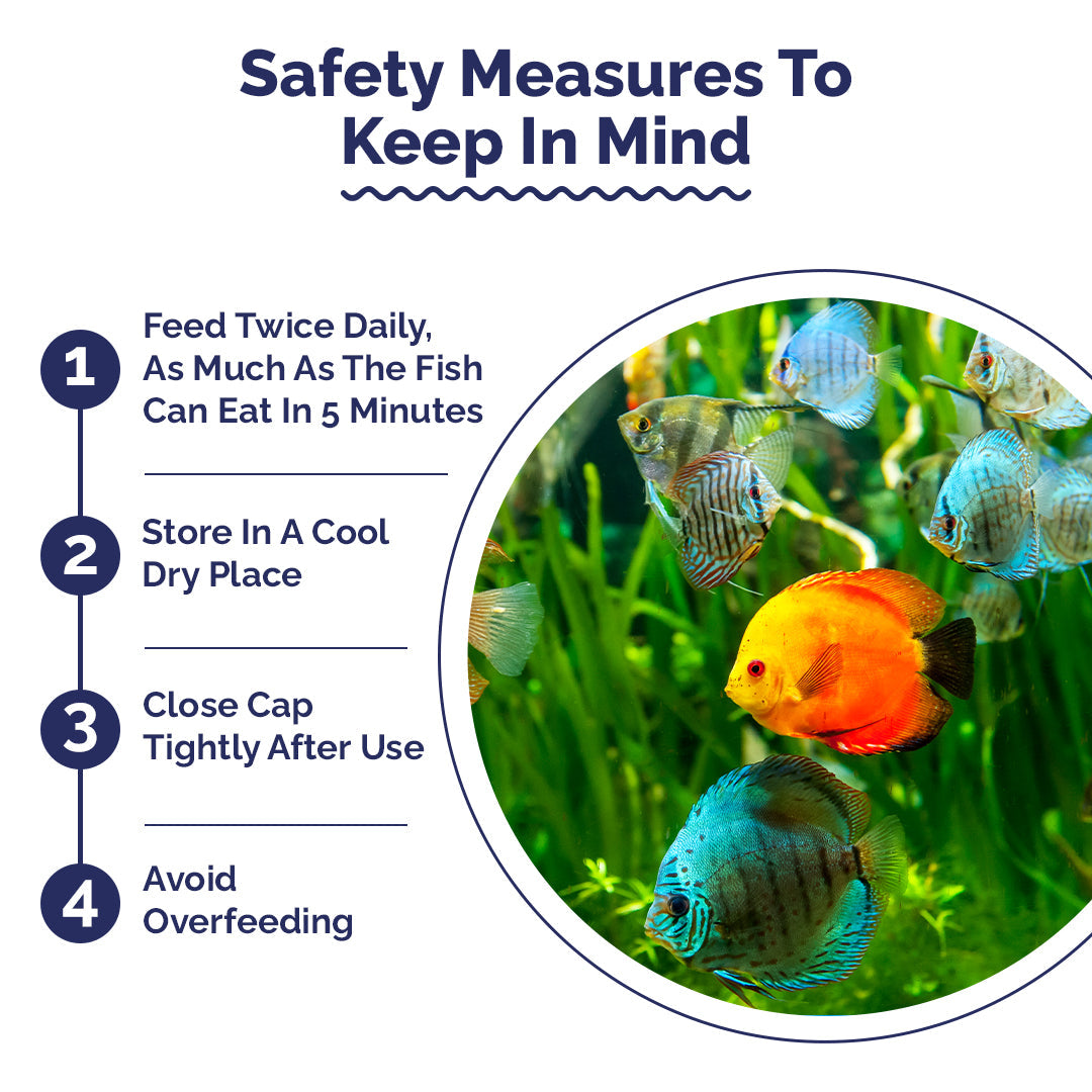Safety measures for aquarium fish with a circular inset showing colorful fish in an aquarium.