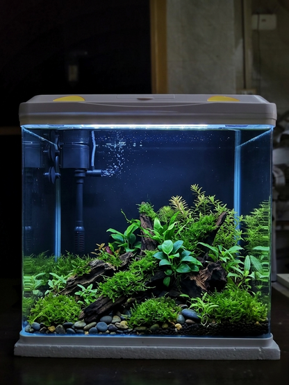 RS 700 EL Glass Aquarium (108 Litre)