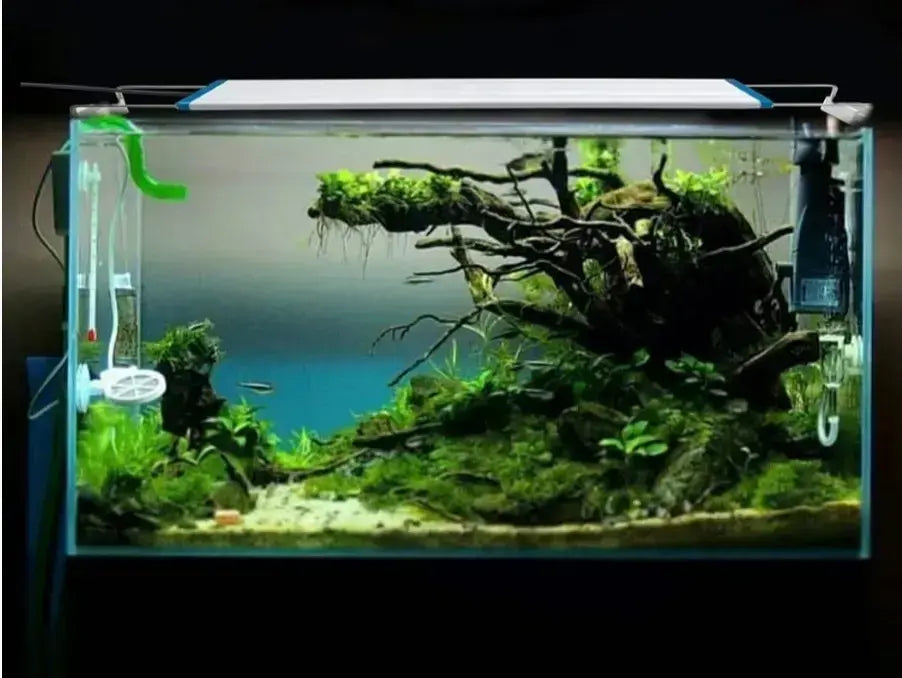 Bluepet BR 50 Aquarium Light white blue 14W Extendable brackets