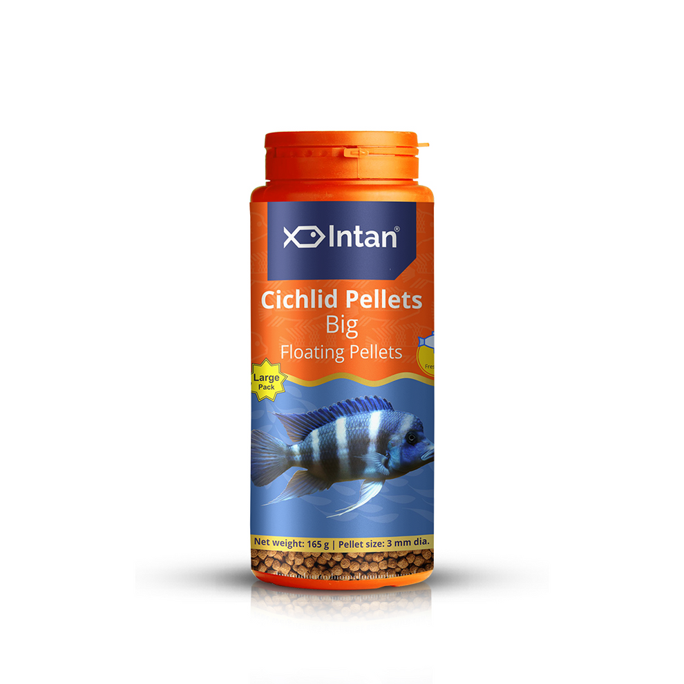 Intan Cichlid Pellets - Big | Floating Fish Food