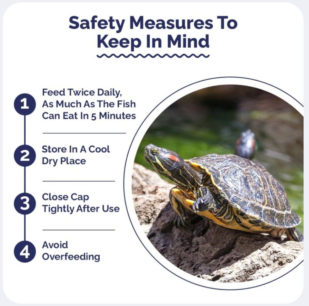 Safety measures for turtle care with a turtle image on a white background