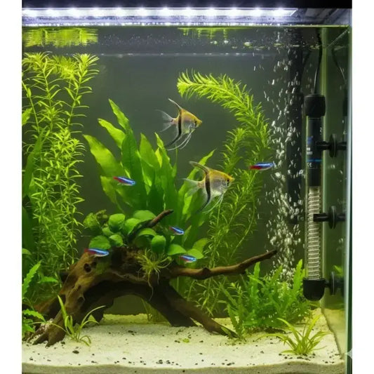 Bluepet BL-200W Aquarium Glass Heater