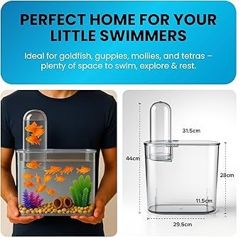 Clear fish tank with goldfish, dimensions diagram, and text about ideal home for small aquatic pets.