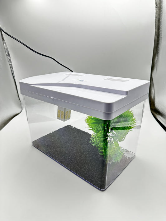 Bluepet TP-33  Aquarium with 4K Transparency for Stunning Views –  Curved Design, Includes a Filter & LED Light