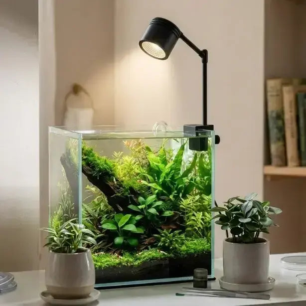 Roxin RX-D300 6W LED Aquarium Clamp Lamp – Adjustable Clip-On Light for Planted & Nano Aquariums