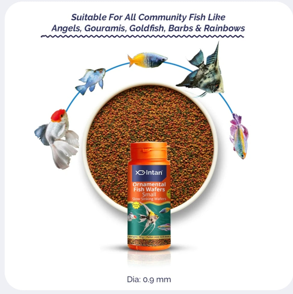 Intan ornamental fish waters with a bowl of fish food and illustrations of various fish.