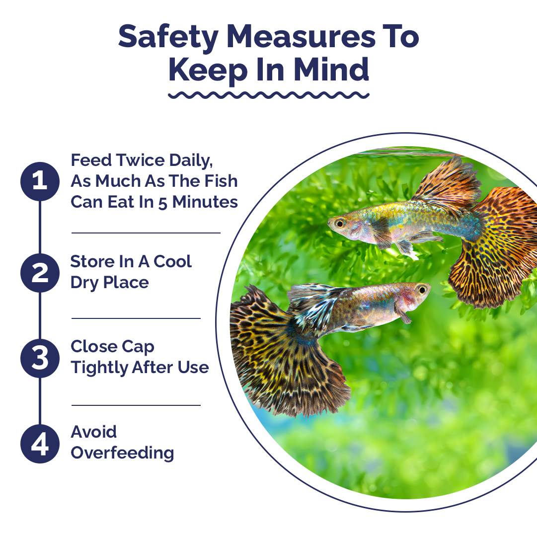 Safety measures for fish care with a circular inset showing guppies in an aquarium.