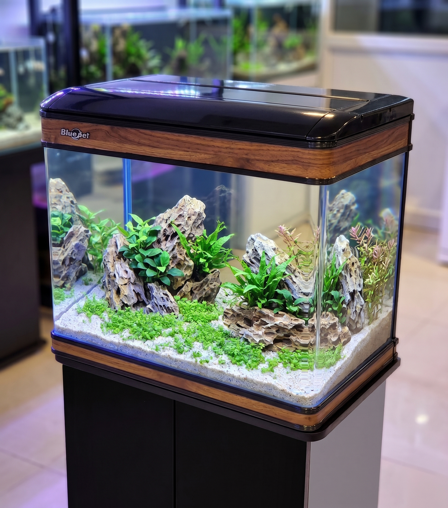 Bluepet 2 Feet Glass Aquarium Tank  84 Litres  BW 60