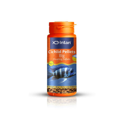 Intan Cichlid Pellets - Big | Floating Fish Food