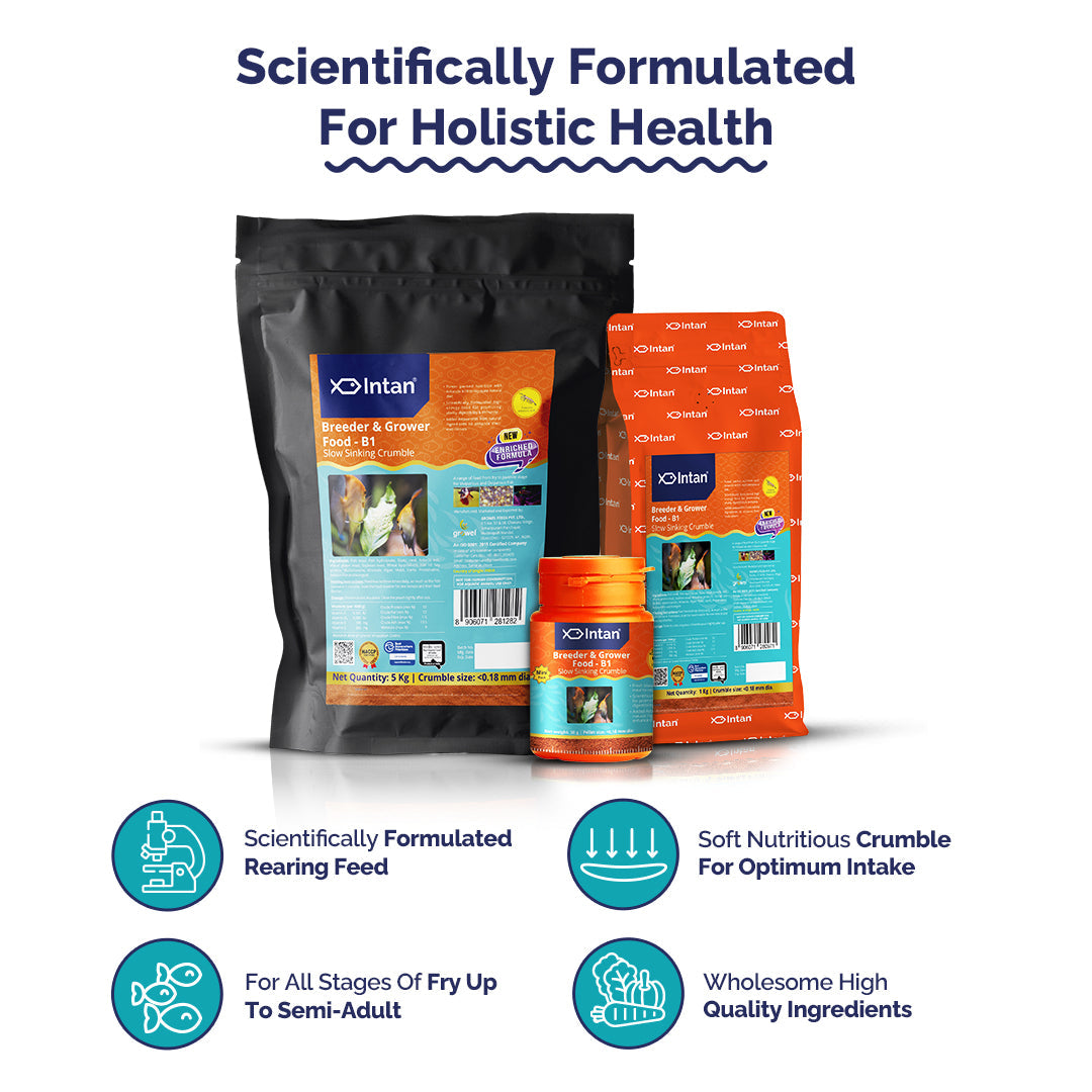 Intan pet food products with text highlighting scientific formulation for holistic health on a white background.