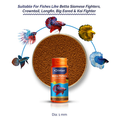 Intan Betta Pellets | Floating Fish Food 1 kg
