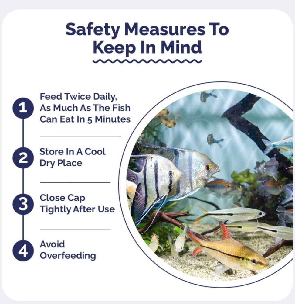 Safety measures for aquarium fish with a circular inset showing fish in an aquarium.