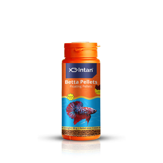 Intan Betta Pellets | Floating Fish Food 1 kg