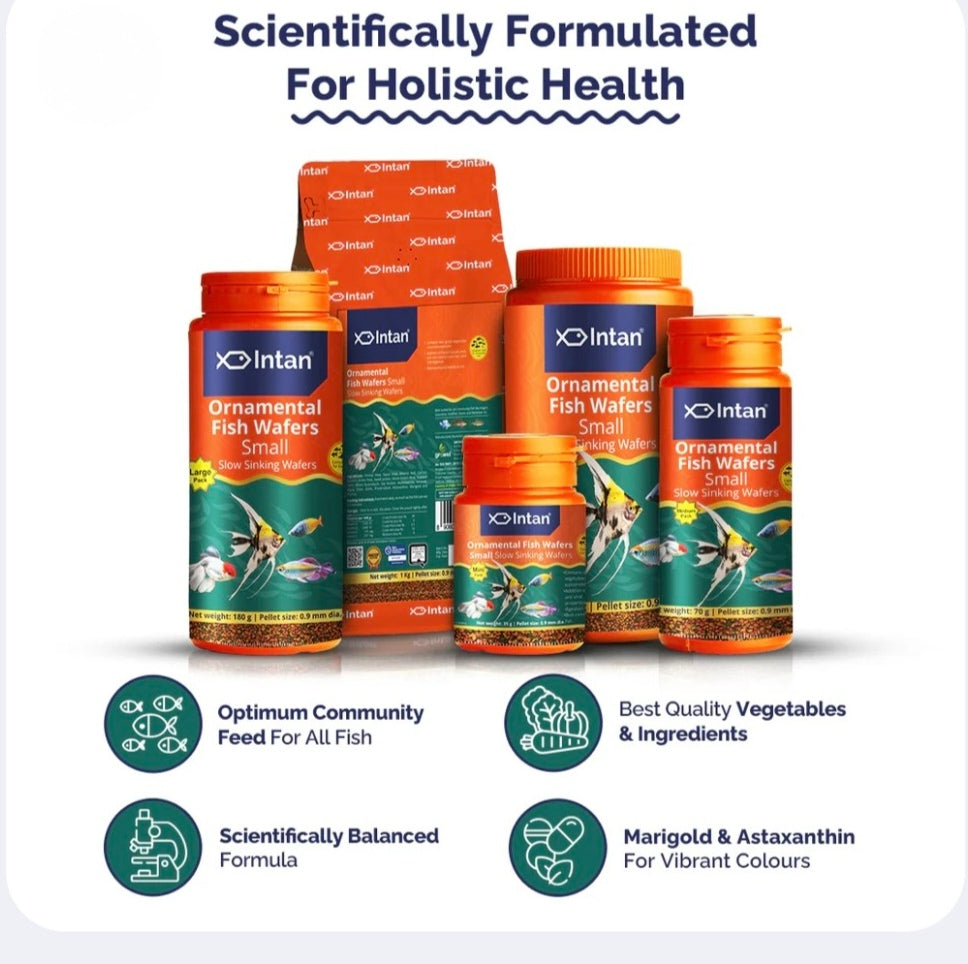 Intan Ornamental Fish Wafers packaging with product details on a white background
