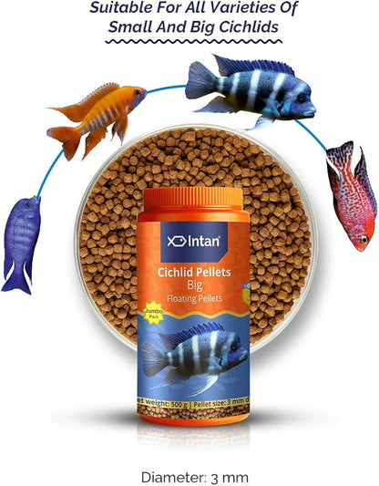 Intan Cichlid Pellets - Big | Floating Fish Food