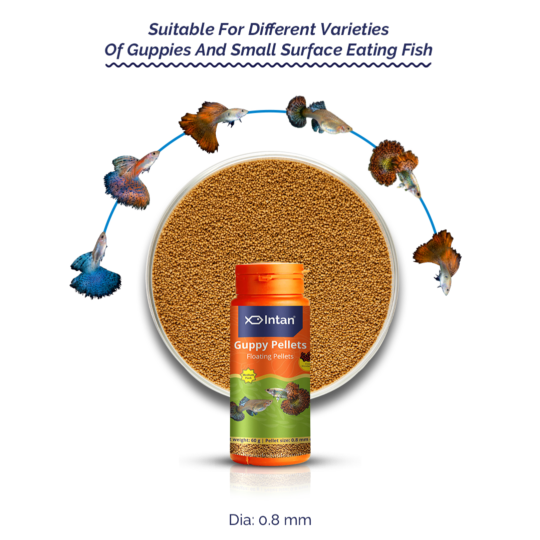 Intan Guppy Pellets packaging with fish around it on a white background