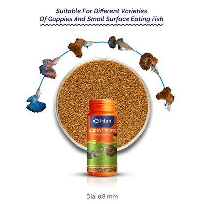 Intan Guppy Pellets packaging with fish around it on a white background