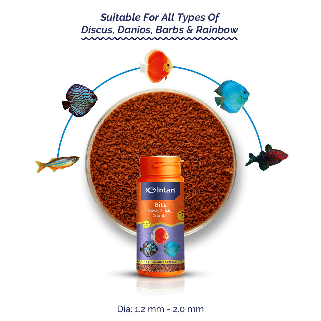 Intan fish food product with a bowl of fish food and colorful fish illustrations on a white background.