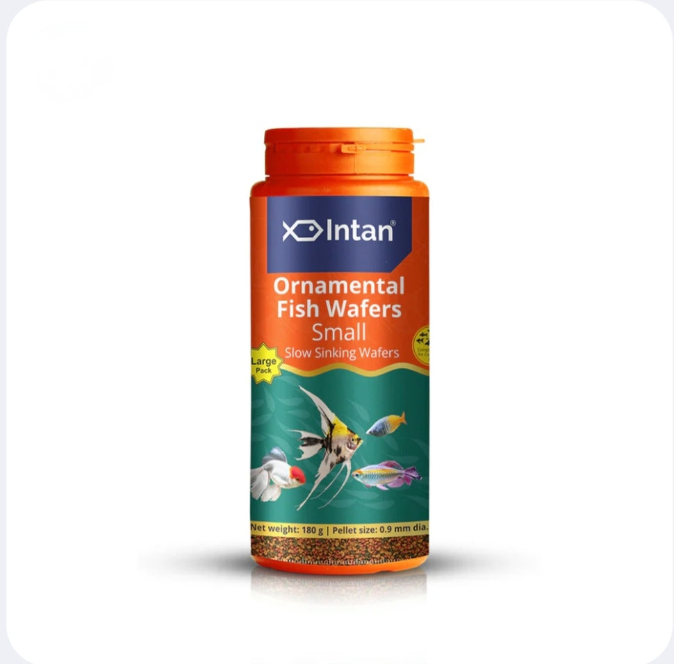 Intan Ornamental Fish Wafers Small packaging on a white background